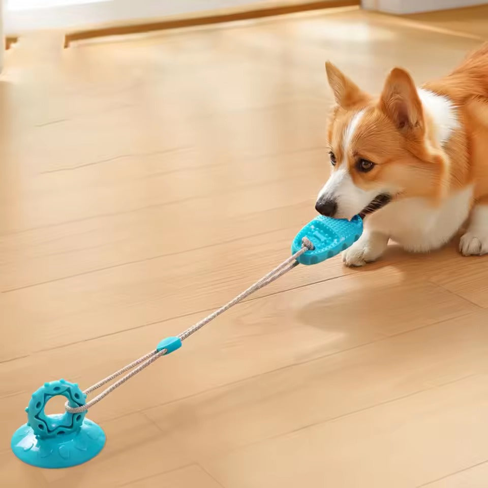 Jouet pour chien à Ventouse